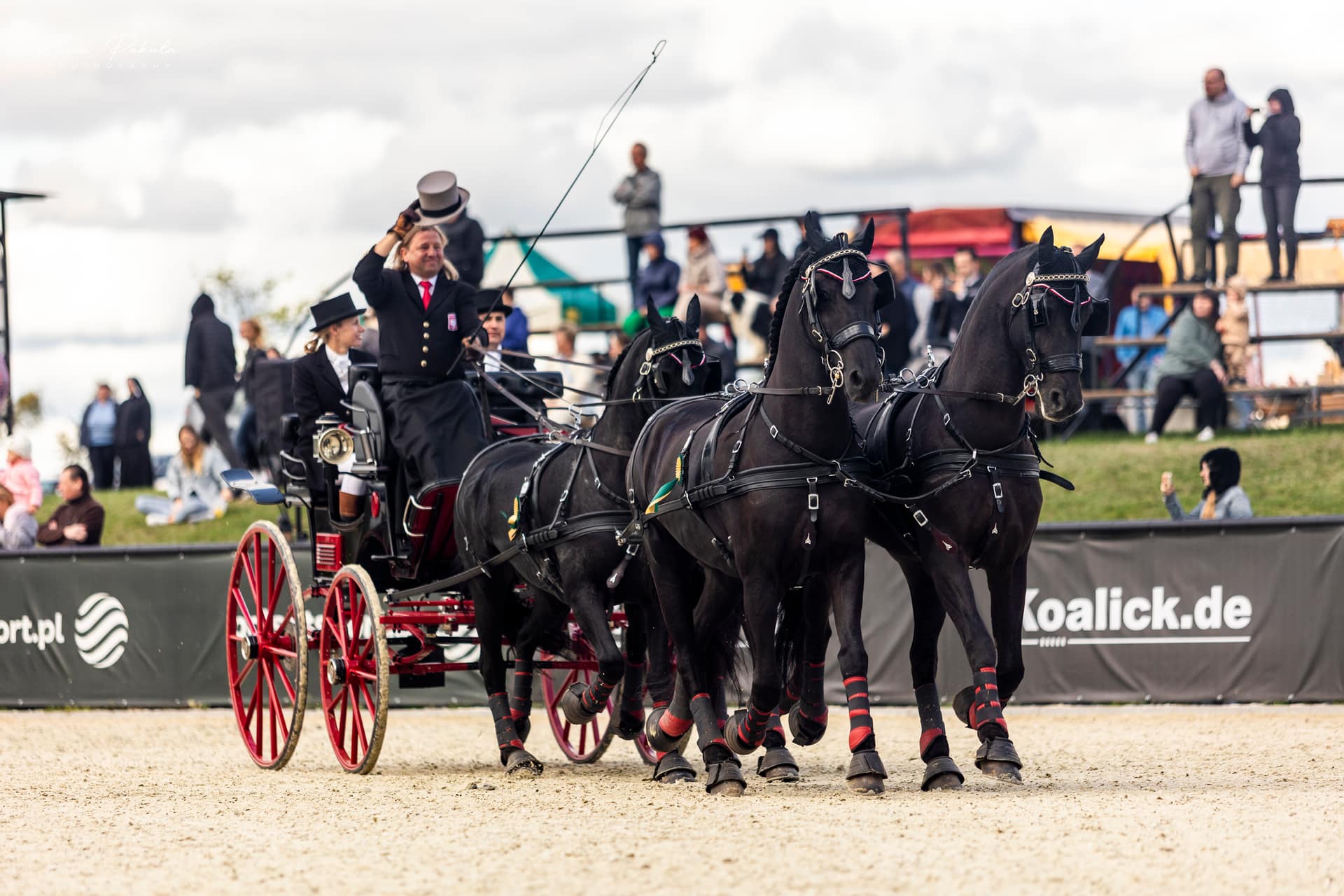 Naturalne zaplecze Stajni WS